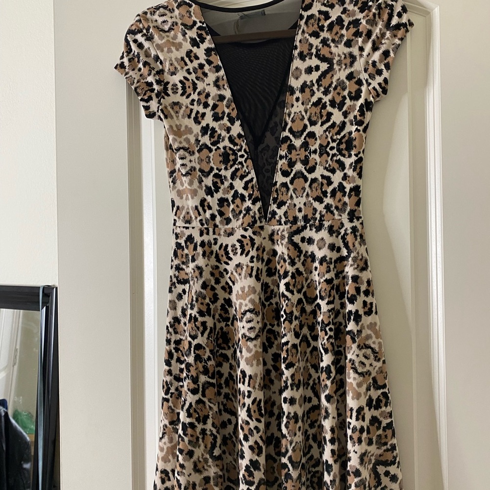 Kimchi Blue Urban Outfitter Mesh Leopard Skater Dress